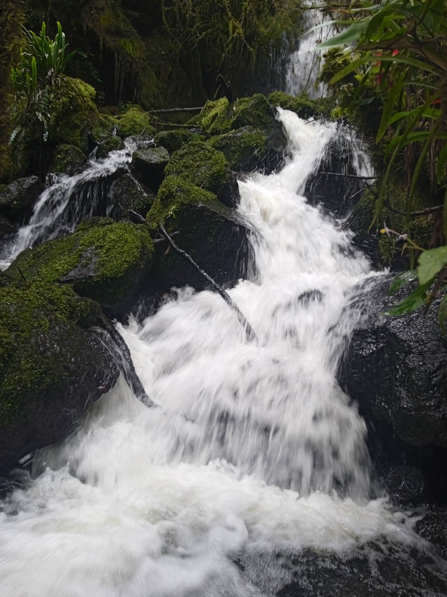 Portada Cascada La 7cascadas